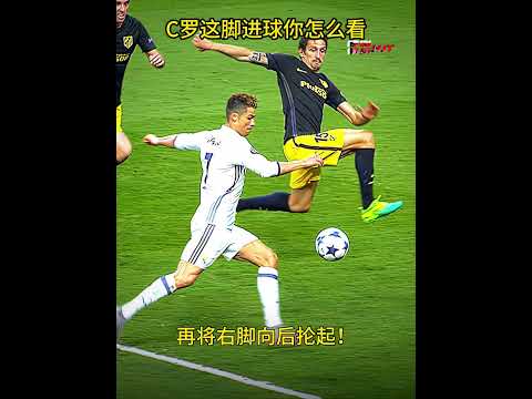 纳达尔领跑,最年轻大师,赛冠军排行,世界杯外围,2026世界杯,投注攻略,赛事分析,最新动态
